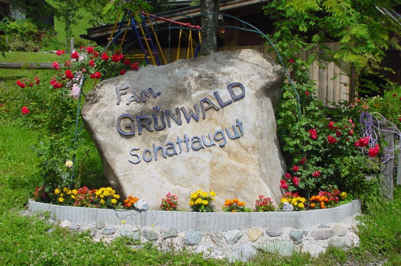 Schattaugut Eben Im Pongau Exterior photo
